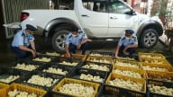 Đề nghị Lạng Sơn và Quảng Ninh tăng cường ngăn chặn giống vật nuôi nhập lậu
