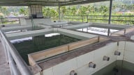 Hải Phòng: Mục tiêu toàn bộ người dân nông thôn dùng nước sạch đạt chuẩn