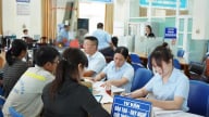 Thái Bình bắc nhịp cầu việc làm