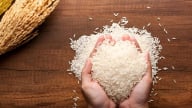 Giá lúa gạo hôm nay 25/6/2025: Gạo xuất khẩu giảm