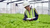 Doanh nghiệp nông nghiệp chỉ bị kiểm tra định kỳ không quá 1 lần mỗi năm