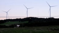 EU dự kiến đưa tín chỉ carbon vào mục tiêu khí hậu đến năm 2040