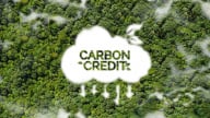 EU bất đồng về mục tiêu sử dụng tín chỉ carbon