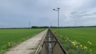 Tuyến kênh bê tông nổi xanh hóa vùng đất ‘khát'