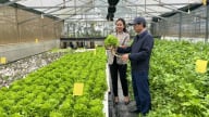 [Bài 3]: Kích hoạt kinh tế tư nhân từ hạt nhân hợp tác xã