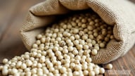 Giá tiêu hôm nay 18/8/2025: Cao nhất đạt mốc 143.000 đ/kg