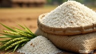 Giá lúa gạo hôm nay 16/7/2025: Gạo xuất khẩu giảm giá mạnh