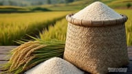 Giá lúa gạo hôm nay 19/7/2025: Gạo tiếp tục giảm giá