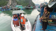 Hải Phòng tổng lực ứng phó bão WIPHA, bảo vệ sản xuất