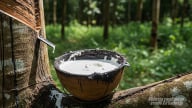Giá cao su hôm nay 23/7/2025: Thị trường nhích nhẹ
