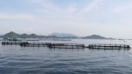 Thúc đẩy phát triển kinh tế biển thông qua đổi mới sáng tạo