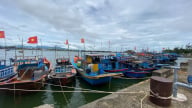 Quảng Ngãi khẩn trương phòng chống bão số 5