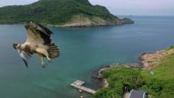 Côn Đảo – Thiên đường xanh, nơi biển trời hội tụ