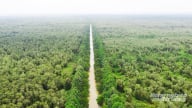 Lung Ngọc Hoàng bảo tồn đa dạng sinh học với phát triển du lịch sinh thái