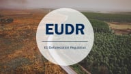 Malaysia chuẩn bị kịch bản với quy định chống phá rừng của EU