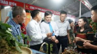 Quảng Ngãi khai mạc Hội chợ Công Thương và OCOP 2025