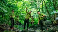 Giữ rừng và dựng tương lai xanh: [Bài 4] Từ khai thác sang bảo tồn