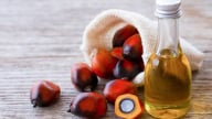 EU mở rộng quy định chống phá rừng với sản phẩm dầu cọ
