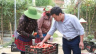 Chuyển đổi số góp phần xây dựng nông thôn mới