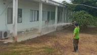 TP.HCM phát hiện thêm 2 ổ dịch tả heo Châu Phi