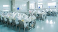 Kết nối bền vững nâng tầm thương hiệu yến Việt