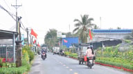 Vương quốc cây giống hoa kiểng Chợ Lách trong diện mạo mới