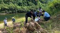 Ban hành mẫu tài liệu trong hoạt động thăm dò khoáng sản