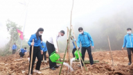 Tuổi trẻ tích cực trong phong trào xây dựng nông thôn mới