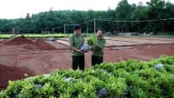 'Cuộc chiến' giữ rừng phòng hộ: [Bài 4] Nhân rộng diện tích rừng FSC