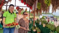 Du lịch nông thôn 'hút' khách