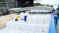 Doanh nghiệp xuất khẩu gạo kỳ vọng mức giá tốt hơn