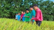 Mở rộng mô hình canh tác lúa theo 'quy trình Hợp Trí' lên 1.200 ha