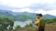 Bình Định 'canh phòng' gần 170.000 ha rừng có nguy cơ cháy cao
