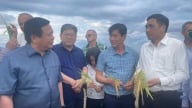 Việt Nam sẵn sàng đồng hành cùng Cuba tự chủ sản xuất nông nghiệp