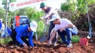 Phát động Tết trồng cây đời đời nhớ ơn Bác Hồ