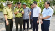 Thiết lập tổ bay kiểm tra cảnh báo sớm cháy rừng