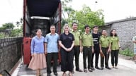 Cứu hộ một cá thể gấu ngựa ở Nghệ An