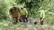 Việt Nam thuộc nhóm ‘rủi ro thấp’ về phá rừng