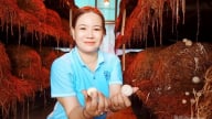 Hậu Giang từng bước chuyển mình, nâng chất nông thôn mới