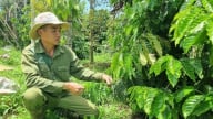 Làm nông nghiệp hữu cơ không chỉ đủ sống mà để sống có trách nhiệm