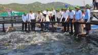 Đến năm 2030, kinh tế biển đóng góp 10% GDP cả nước