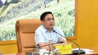 Ưu tiên ổn định ngành chế biến gỗ, hoàn thiện pháp lý chính quyền cơ sở