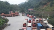 Thiết lập cơ chế thông quan khẩn cấp đối với hàng nông sản trọng điểm
