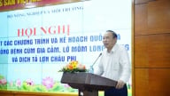 Phòng dịch chắc chắn để chăn nuôi gia nhập thị trường cao cấp