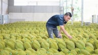 Đại biểu Quốc hội đề xuất các giải pháp thúc đẩy xuất khẩu nông sản
