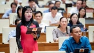 Phế phụ phẩm nông nghiệp gây ô nhiễm môi trường, lãng phí nghìn tỷ mỗi năm