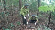 Động vật hoang dã không phải là thuốc