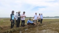 Kiểm tra thiệt hại nông nghiệp sau mưa lũ tại các tỉnh Trung Trung bộ