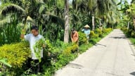Bến Tre xây nông thôn mới từ lòng dân