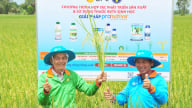 Pronutiva mang giải pháp canh tác bền vững, giúp nông dân nâng cao lợi nhuận